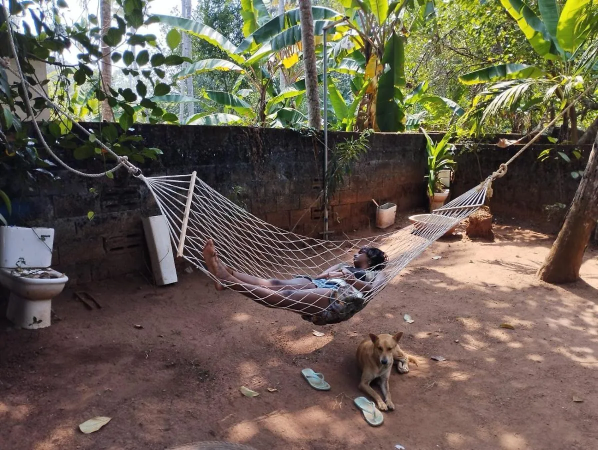 Molly'S Hostel Varkala