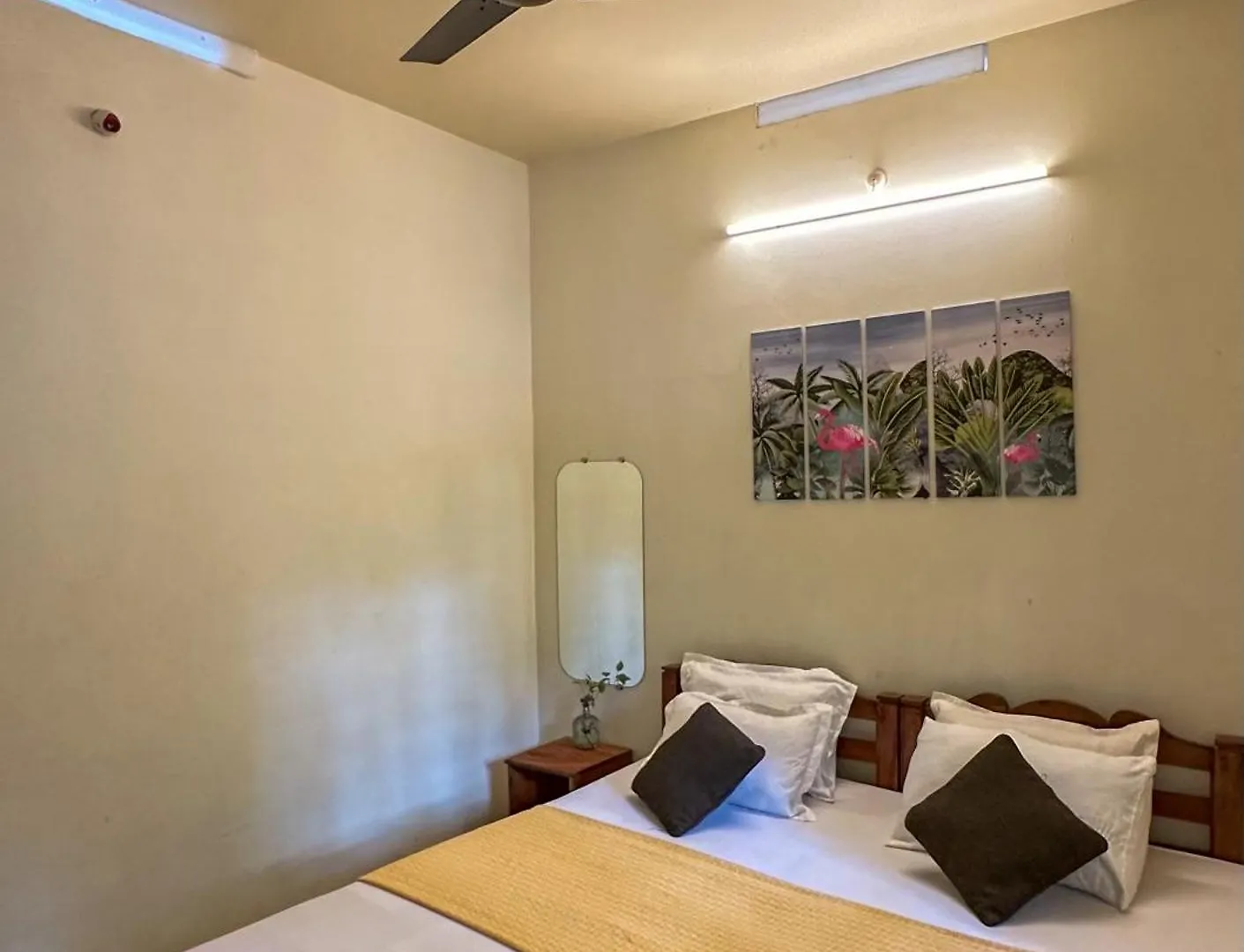 Molly'S Hostel Varkala