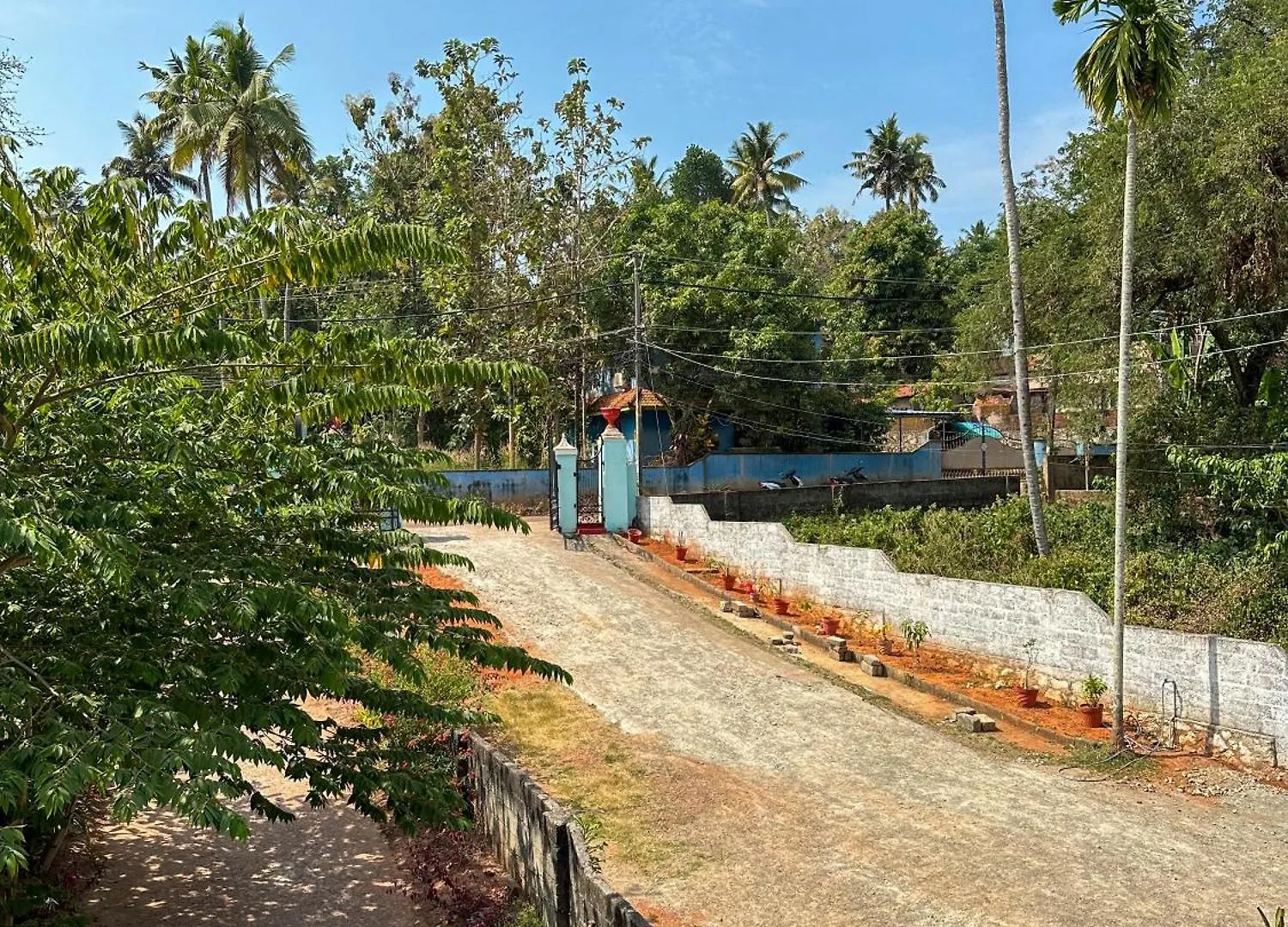 Molly'S Hostel Varkala