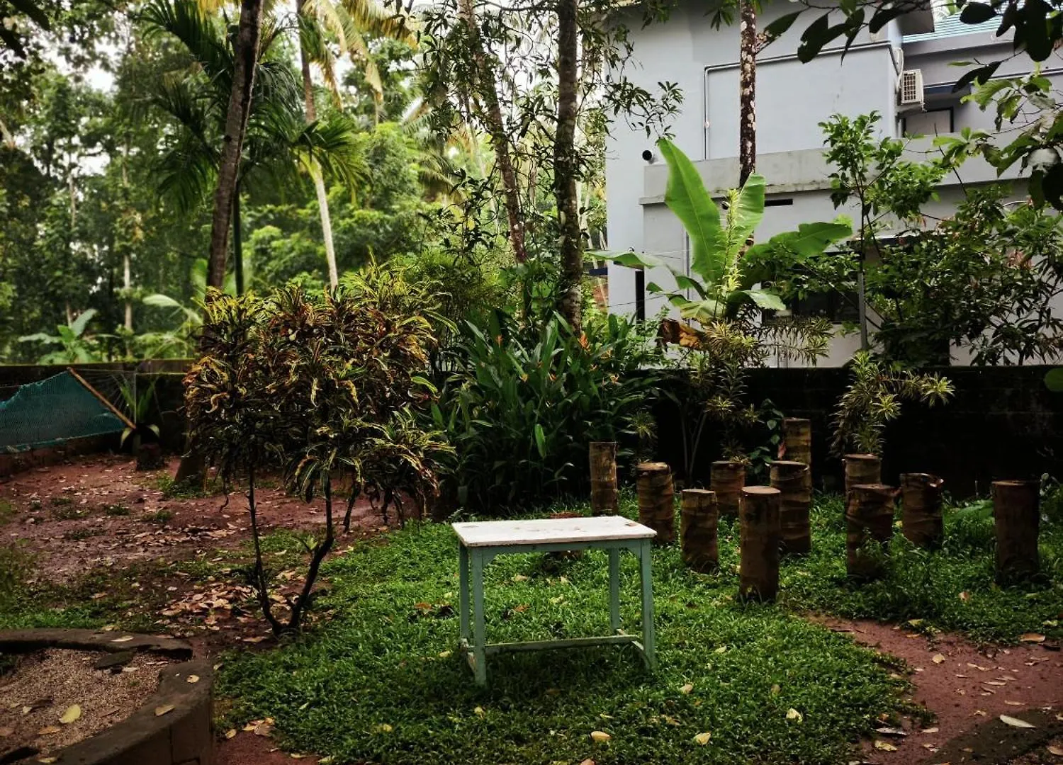Molly'S Hostel Varkala