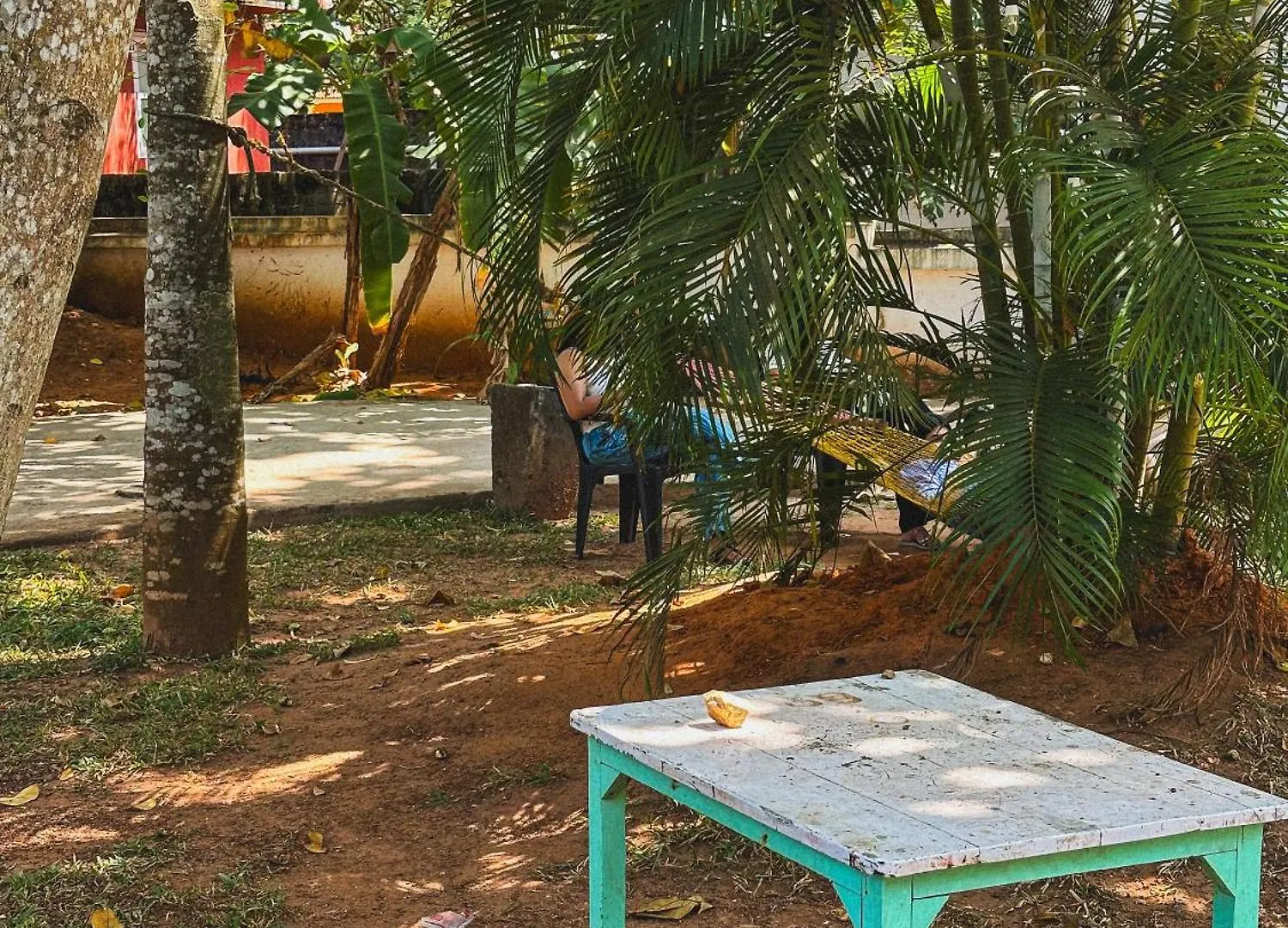 Molly'S Hostel Varkala 0*,