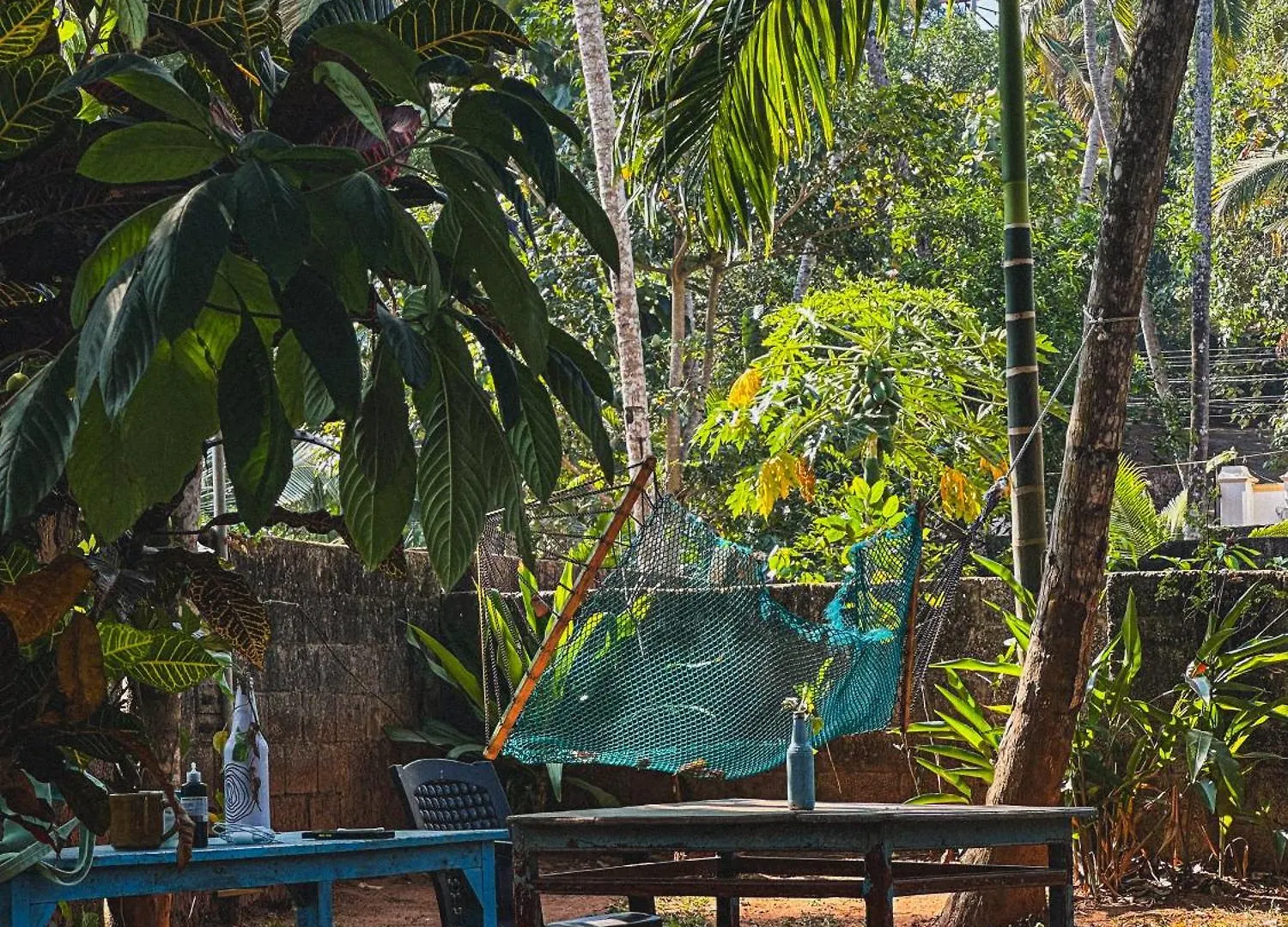 Molly'S Hostel Varkala Indien