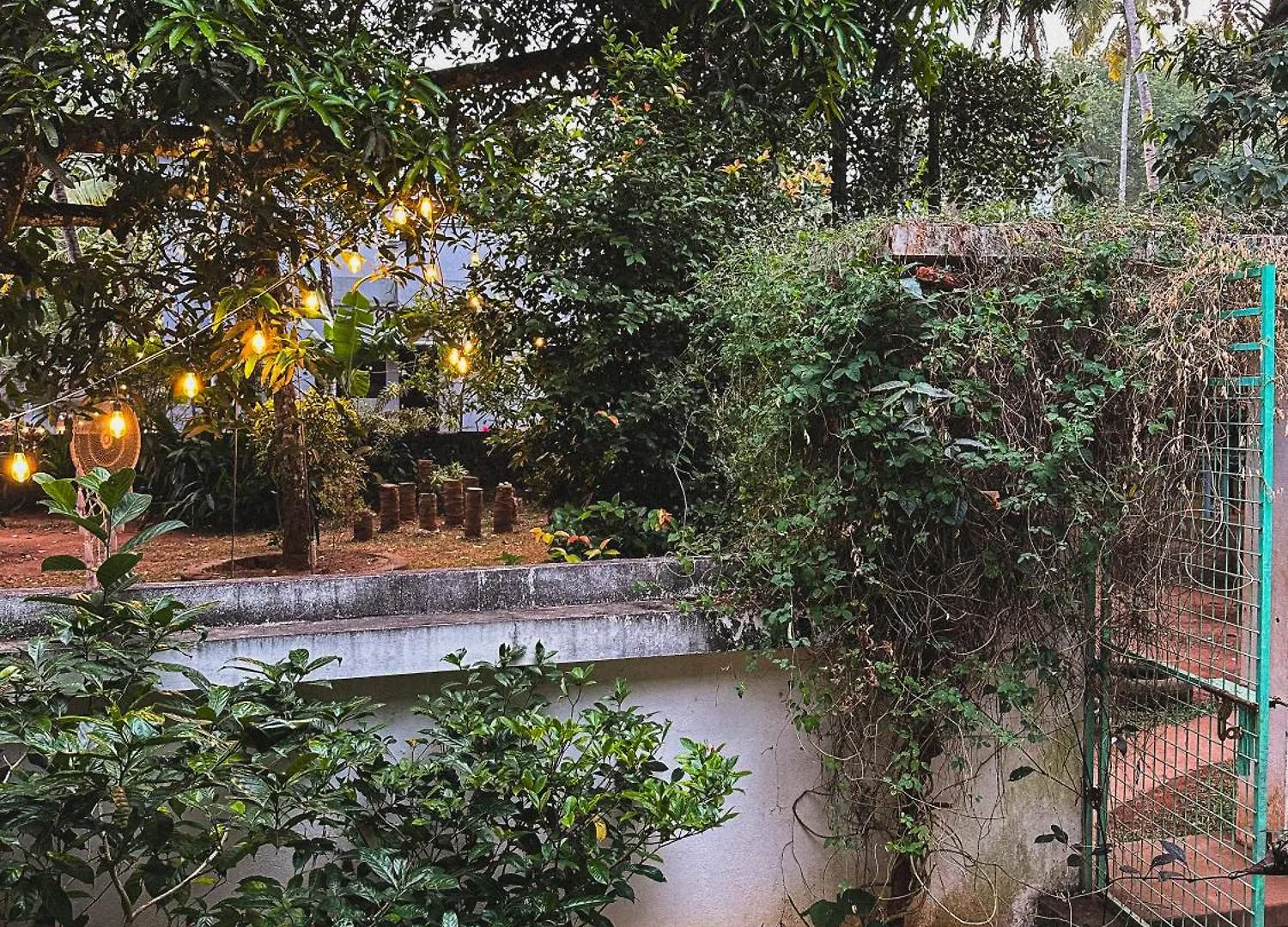 Molly'S Hostel Varkala