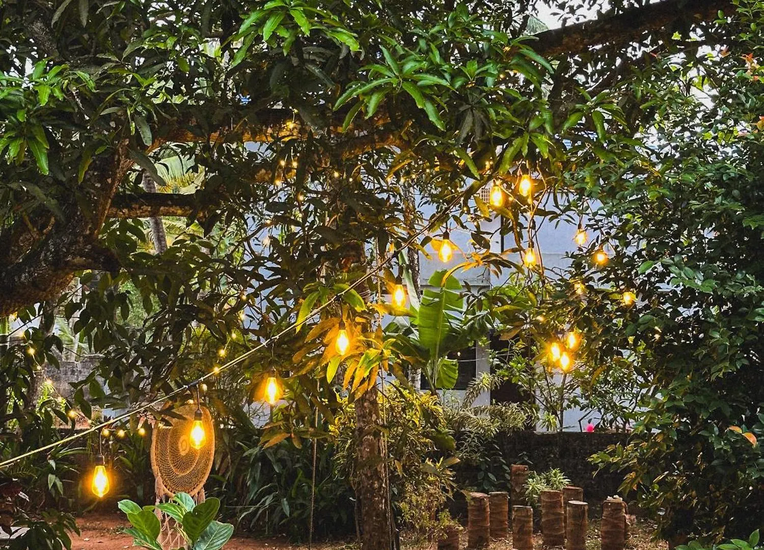 Molly'S Hostel Varkala Indien
