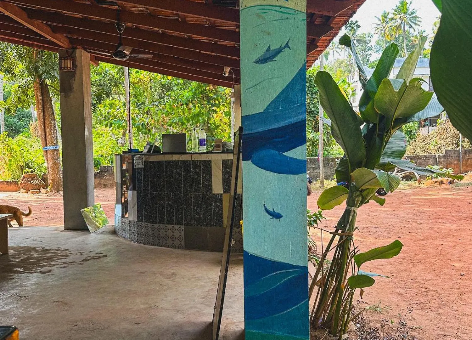 Molly'S Hostel Varkala